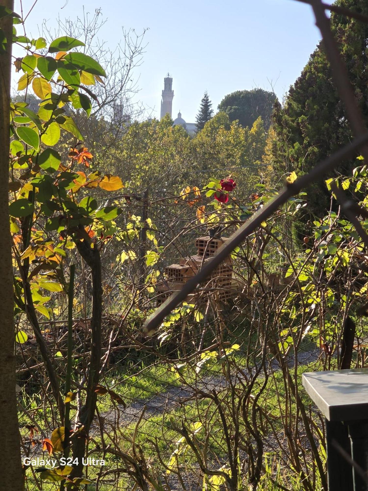Podere Ponticini Сієна Екстер'єр фото