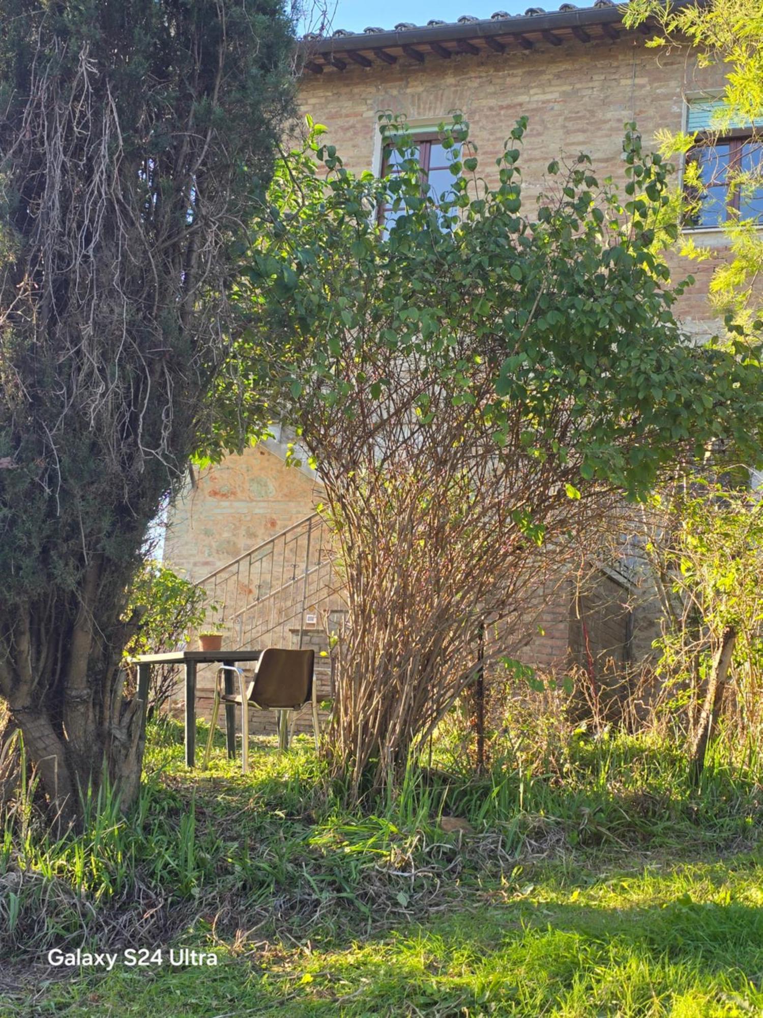 Podere Ponticini Сієна Екстер'єр фото